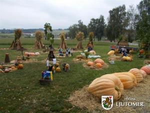 TD Stara Cesta pripravilo 14. Bučarijo 1